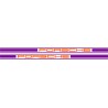 Bandes latérales Porsche